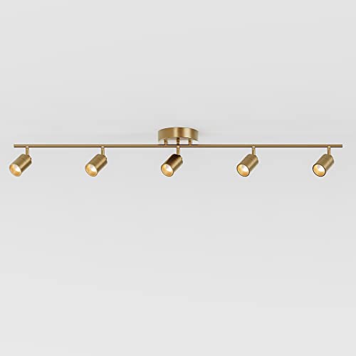VidaLite Shura Brushed Brass 5-Light Track Light with Adjustable Heads, Integrated LED Bulbs, 4 ft. Track Lighting Kit Ceiling Light, 3000k, 2450 Lumens