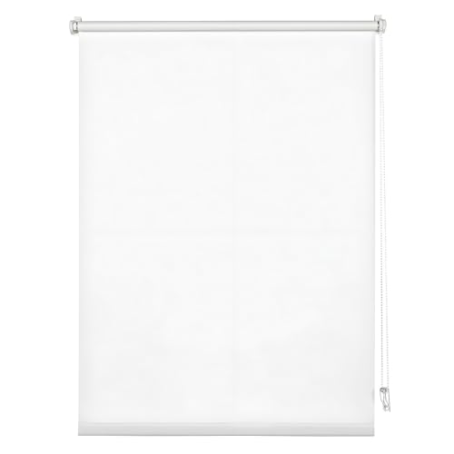 Persiana enrollable de PVC transparente impermeable para jardín, balcón, patio, piscina, 50300 cm, ajustable, ideal para cenador y baño (180 x 230 cm)