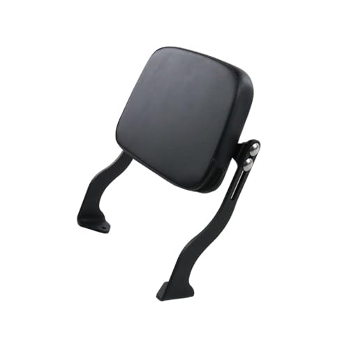 Dossier Passager Arrière Moto Soulagement Lombaire Coussin PU Pan America 1250