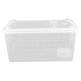 Mangeoire : avec un espace grand et confortable pour qu'ils puissent jouer se reposer dans le réservoir.