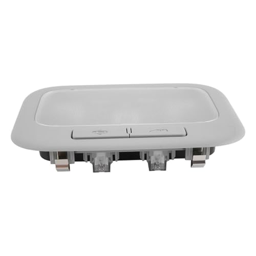 Luz de techo 928004H100 para H1 i800 Starex 2007-2017 5