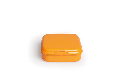 Excelsa Take Away Contenitore Porta Panino, Polipropilene, Arancio, 15x15x5 cm