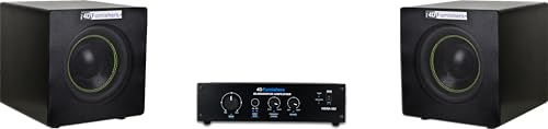 Image of 4D Furnishers Double Passive to Active Home Theater SubWoofer Amplifier | 600 Watts | HSWA-302 (New Version 20.06.2024)