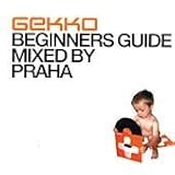  Gekko Beginners Guide