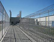 5'-0x10'-0 Razor Mesh Panels Galvanized