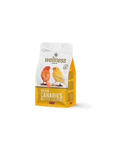Padovan Wellness Mix per Canarini - 1000 gr
