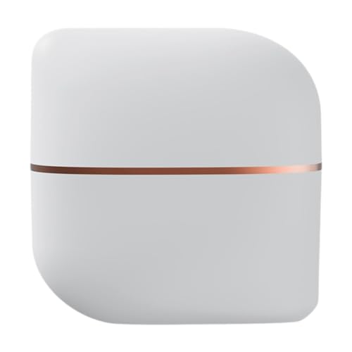 FashionCha Mini Spazzola Lisciante per Capelli con Pettine Caldo in Ceramica E 3 Temperature Regolabili