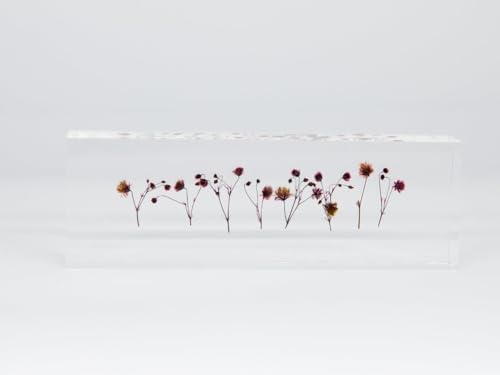 [3色からお選びください]ピンク お花を閉じ込めたアクリル置物 カスミソウ f-ofjet W15cm×H5cm×D2.5cm