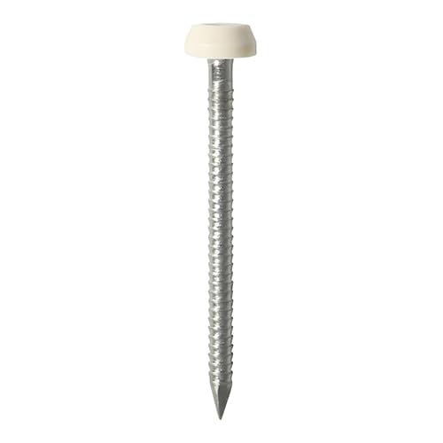 Épingles à tête polymère Timco en acier inoxydable A4 crème 40 mm x250