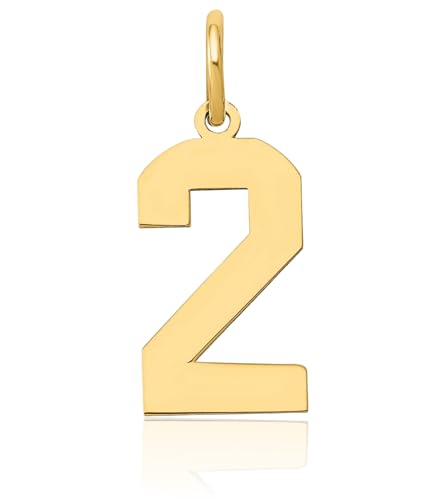 IceCarats 14K Solid Yellow Gold Medium Number 2 Necklace Chain Pendant Charm3