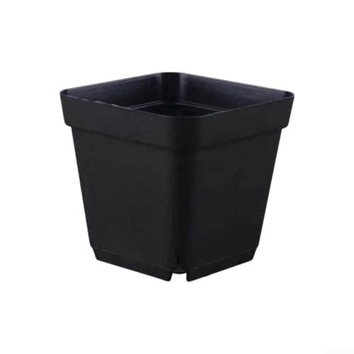 Vasi da fiori quadrati in plastica per erbe e piante grasse con sistema di drenaggio ottimizzato (10 lati dritti)