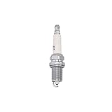 CHAMPION OE154/T10 Double Copper Spark Plug, Set of 10