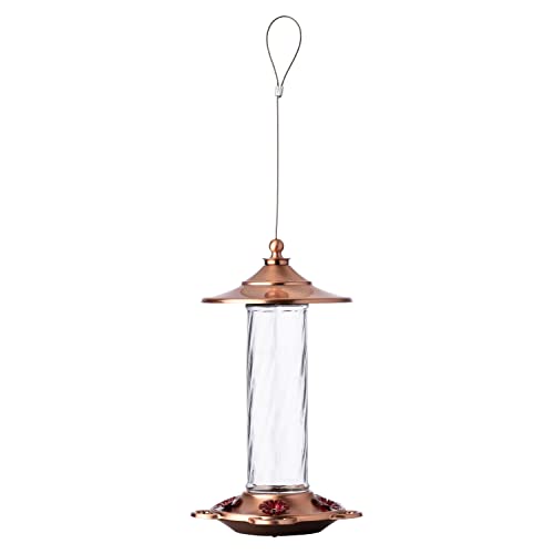 More Birds Glory Hummingbird Feeder, Glass Hummingbird Feeders For Outdoors, 5 Feeding Stations, 13 Ounces #TOP1