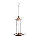More Birds Glory Hummingbird Feeder, Glass Hummingbird Feeders for Outdoors, 5 Feeding Stations, 13 Ounces