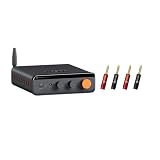Fosi Audio BT20A MAX Amplificatore Audio Hifi e Banana Plugs per cavi di altoparlanti in bundle