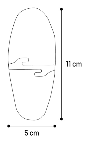 SEPIASCHALE BECCO 11CM 2ST Premium