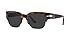 Persol PO3319S Square Sunglasses, Caffe/Polarized Black, 55 mm