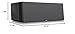 SVS Ultra Evolution Center Channel Speaker - Each (Piano Gloss Black)