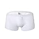 Faringoto Herren Boxershorts Höschen Mesh Sheer Streifen Unterwäsche Sexy Transparent Unterhose, Weiss/opulenter Garten, Large