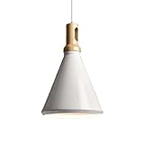 * Type de source lumineuse de lustre * Base universelle E27 (ampoule non incluse) tête de vis certifiée internationale, facile à installer, câble métallique réglable, transmission uniforme de la lumière, projecteur doux, moins de chaleur, économie d'énergie.