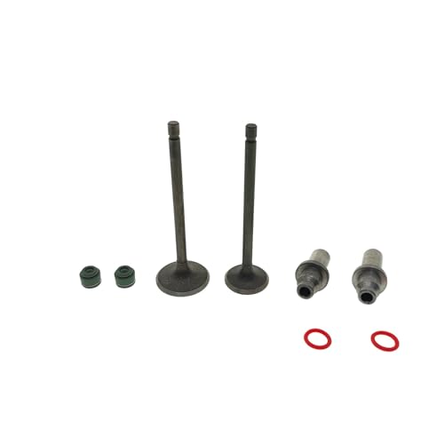 Joint d'étanchéité de tige d'admission FT150 150CC en kit complet