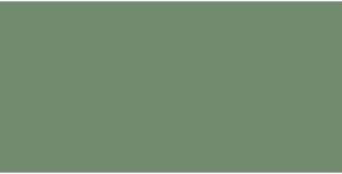 Albrecht Dürer Artists Watercolour Green-172, Single Pencil, Earth Green, 1 Count (Pack of 1)