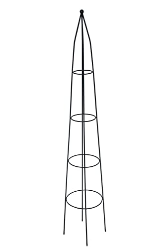 Esschert Design Tuteur Pyramide pour Plantes Noir Taille S