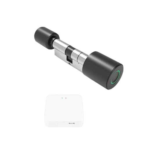 Cerradura Electrónica Wifi Exterior Marca ZKLGS