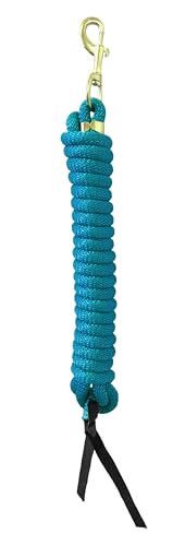Nylon Training Lead Rope Leather Ends 14' w/Swivel Snap (Aqua)