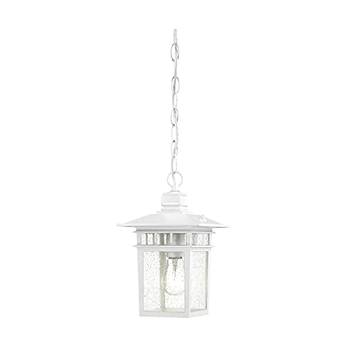 Image of Nuvo Lighting 60 /4954 Traditional One Light Hanging Lantern from Cove Neck collection in White finish