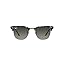 Grey Havana/Grey Gradient Grey Havana/Grey Gradient