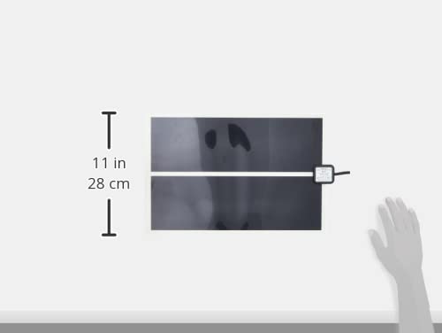 sera reptil thermo comfort mat M / 20 W - Wärmeheizmatten für Reptilien, Amphibien und Wirbellose in Terrarien