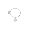 Alex-and-ANI Alex and Ani Soul Sister A18EBSSRS Expandable Bangle Bracelet for Women, Friendship Inscription Charm