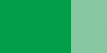 Schmincke : Designers Gouache : 20ml : Leaf Green, Laubgrün - Image 2