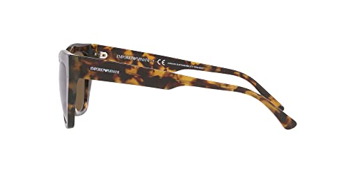 Emporio Armani Women's Ea4176 Cat Eye Sunglasses4
