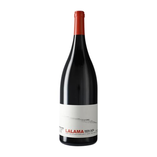 Dominio do Bibei Lalama Ribeira Sacra Botella Magnum 1,5 L Vino tinto