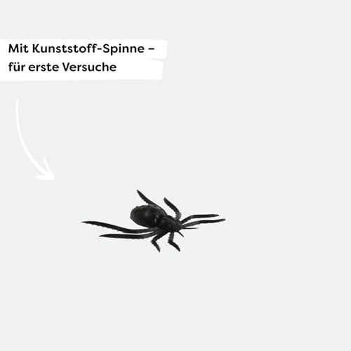 HABA Terra Kids Becherlupe – Kinder-Lupenbecher zum Erkunden der Natur – Mit Doppellinse & Kunststoff-Spinne für Entdeckerspaß für Kinder ab 5 Jahren – 1005241001