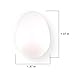 DQITJ 50 Pcs Pigeon Eggs Simulation of Solid Plastic Pigeon Eggs for Pigeons Breeding Nest Training Poultry Supplies