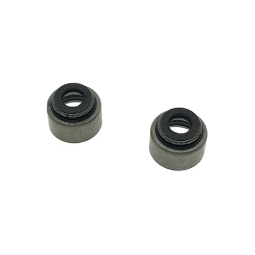Sello de aceite de vástago de alta precisión para moto TW125 y gama SR 125cc/150cc, 2 unidades
