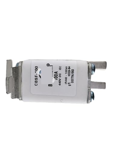 GBSF-100 fusible limiteur de courant blanc pour matériel connecté - 3