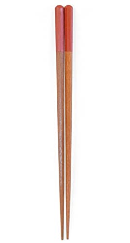 ̂イ p beni gؖ؎h  21cm S22-10-2n