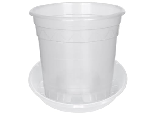 meindekoartikel 5-Sets Orchideentopf mit Untersetzer Pflanztopf Blumentopf aus Kunststoff - milchig, transparent ● 5 Töpfe und 5 Untersetzer ● (Orchideentopf Ø 16)