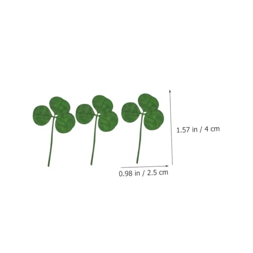 24pcs Plantas secas de trébol prensado para manualidades miniatura 2