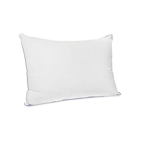 SensorPEDIC Jumbo Lavender Pillow Cover