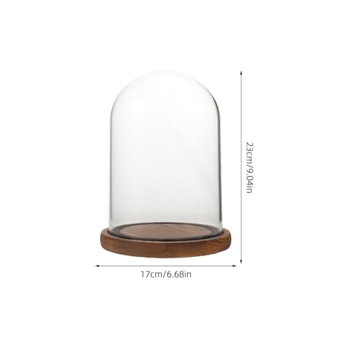 Cloche de présentation en verre avec socle en bois dôme anti-poussière