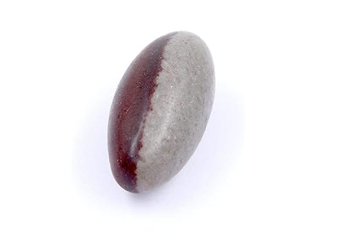 Image of PANDIT NM SHRIMALI Natural Narmadeshwar Shivling Original | Ardhnarishwar Shivling Narmadeshwar Stone for Jaldhari Stand Pooja Abhishek Lord Shiva Ji Home Office Gift Item, 2.5 Inch