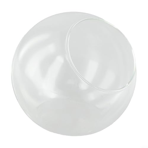 CashMuch Jarrón de cristal con forma de bola de musgo verde fresco, botella de musgo verde fresco, terrario, bonsái, decoración de escritorio