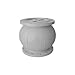 Titan 4.0 CV51-CS Globe Silent Check Valve, 4", Flanged, Carbon Steel
