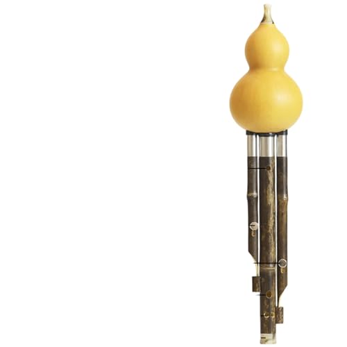 Flûte Hulusi G Key solide pour apprendre la musique sans fausses notes