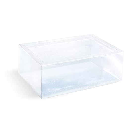 Crafter's Choice Base de sabão transparente para derreter e despejar 900 g